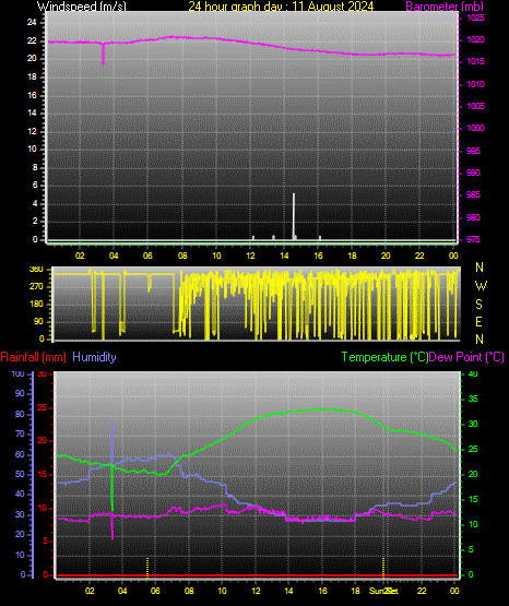 24 Hour Graph for Day 11