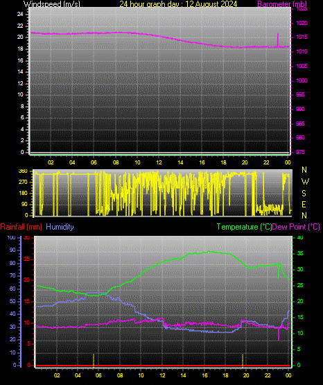 24 Hour Graph for Day 12