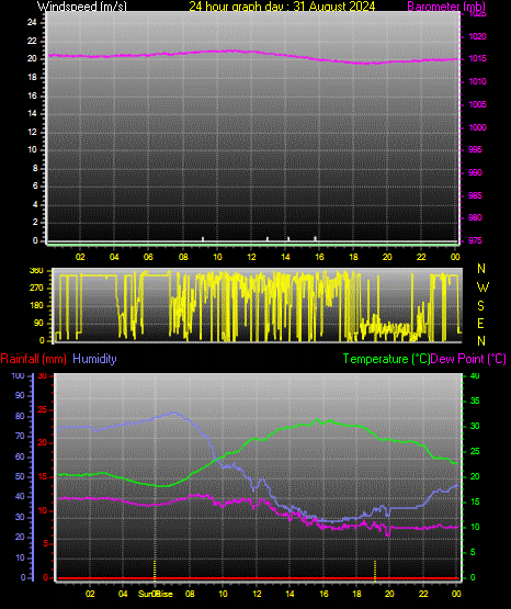 24 Hour Graph for Day 31